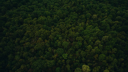Image by Chad Madden