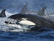 Image by NOAA