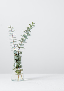 Image by Tim Chow