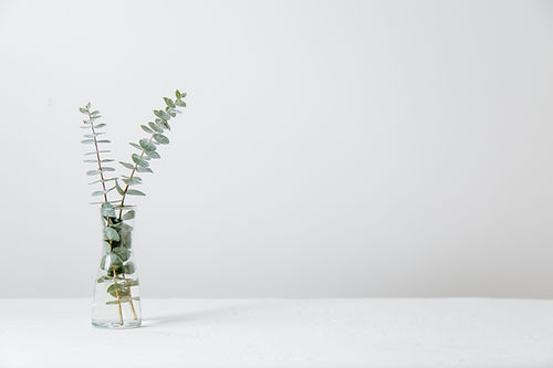 Image by Tim Chow