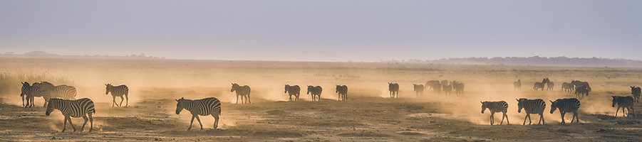 Image by Jordi Fernandez