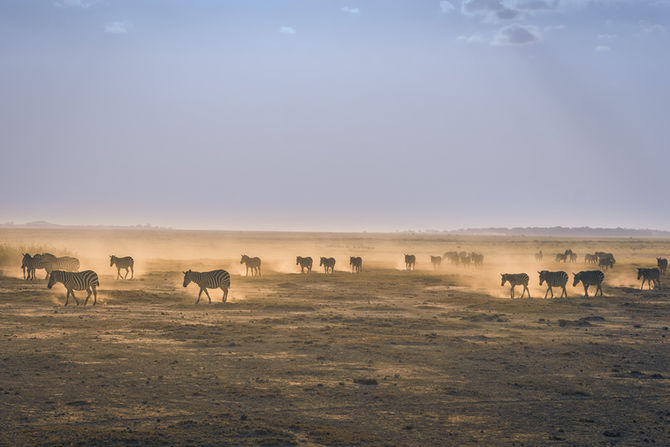 World’s protected areas lack connections, recent study finds