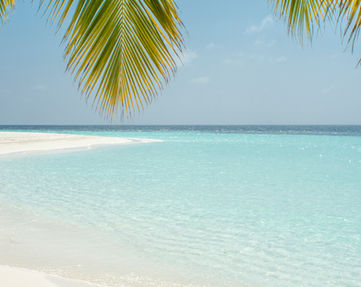 Image by Ali Abdul Rahman