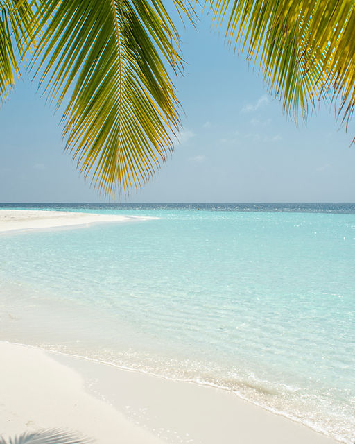 Image by Ali Abdul Rahman