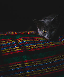 Image by Alexander Ramsey