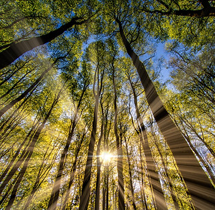 Image by Eric Masur
