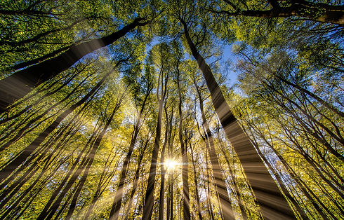 Image by Eric Masur