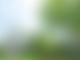 Home Equity to Buy a New Property in Australia