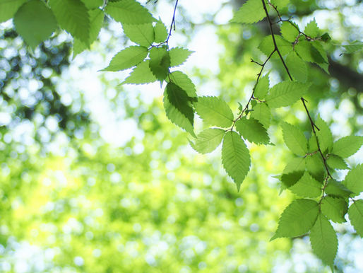 Lilith vs. Uránusz | A Nő felszabadulása