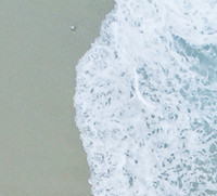 hoja