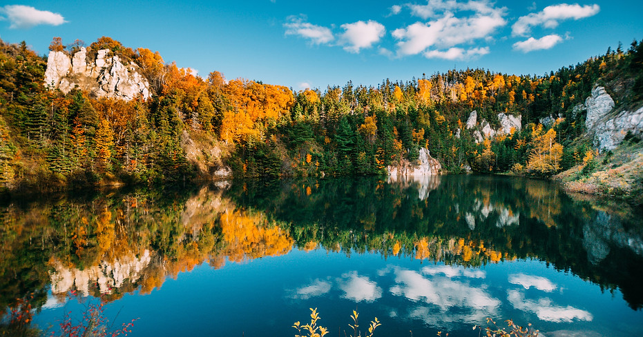 treeplan, tree cultivation, co2 neutral, plant a tree, planting, tree plan, environmental governance, tree planting, ecology, marketing, chignecto isthmus canada