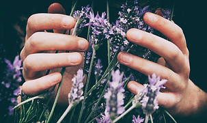 Image by Vero Photoart