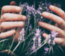 Image by Vero Photoart