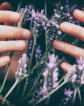 Image by Vero Photoart