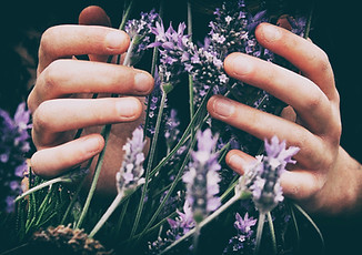 Image by Vero Photoart