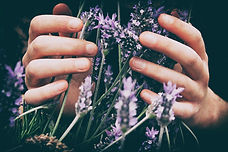 Image by Vero Photoart