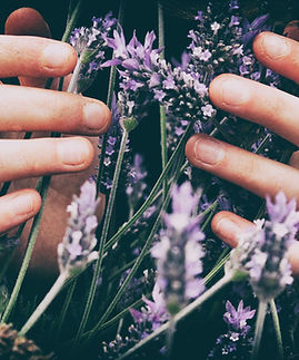Image by Vero Manrique