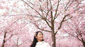 3 Ways to Freshen Your Mind for Spring