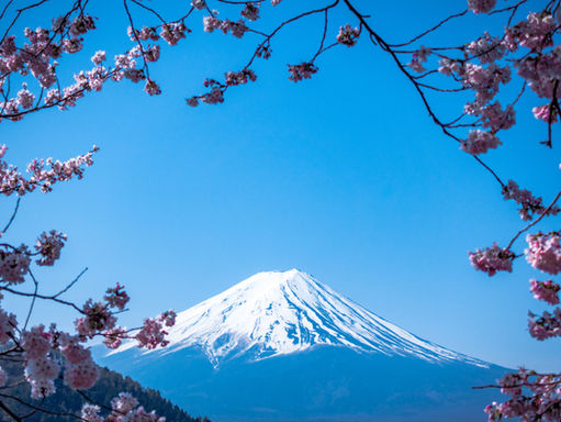 Shareholder Protection in Close Corporations and the Curious Case of Japan
