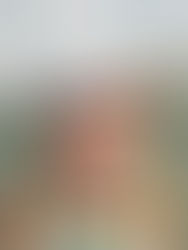 לִרְאוֹת אֶת הָעוֹלָם כִּמְשֻׁגָּע