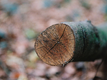 October 3, 2025 -Specks, Logs, Judgement