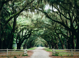 SAVANNAH GEORGIA