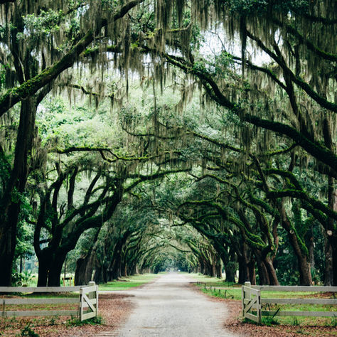Savannah, Georgia, USA (2015)