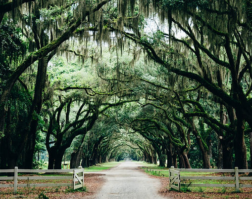 The South
