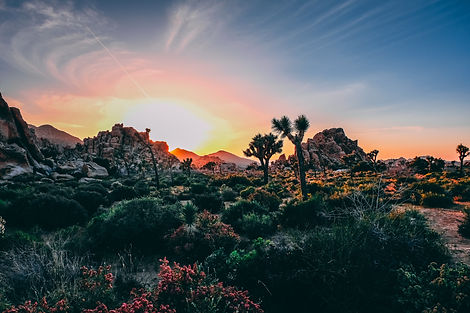 Image by Jayma Leavengood