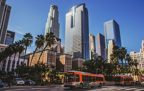 Tall city buildings rise behind a city bus