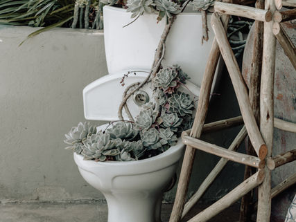 5 Natural Supports for Constipation and IBS-C
