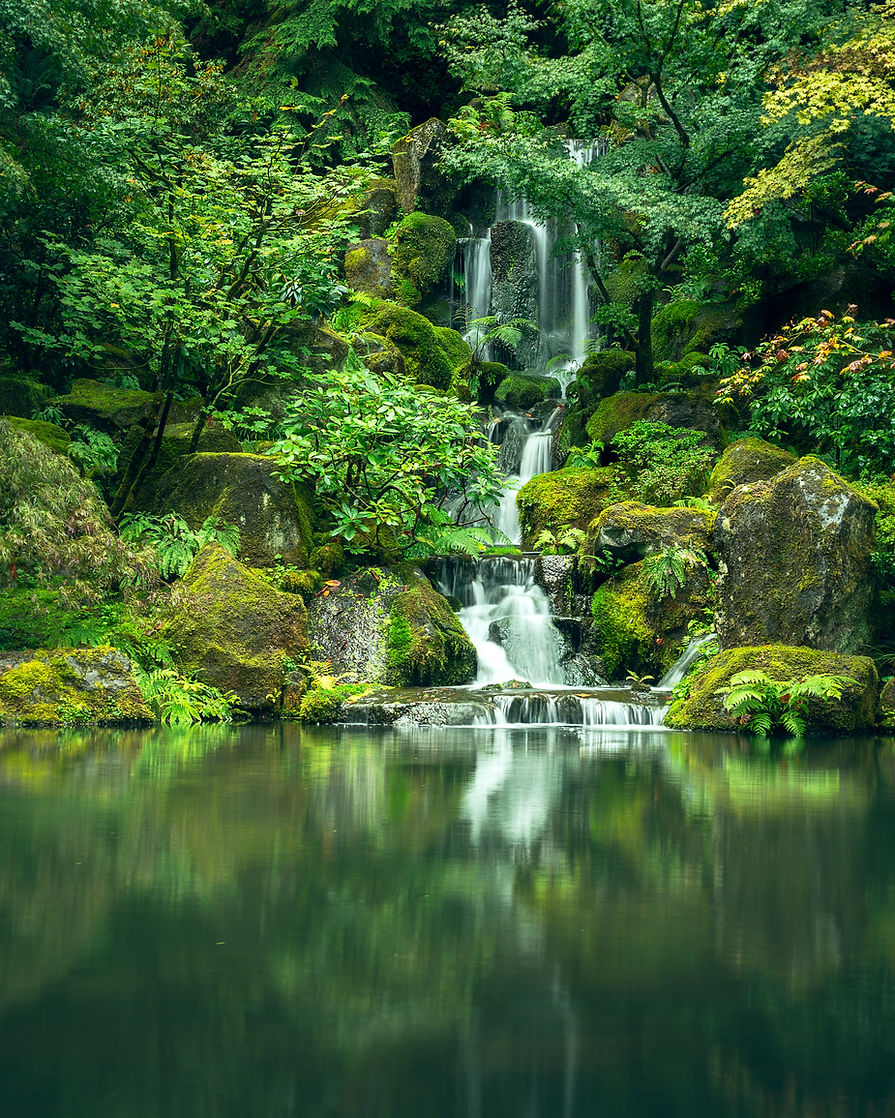 Image by Anders Ipsen
