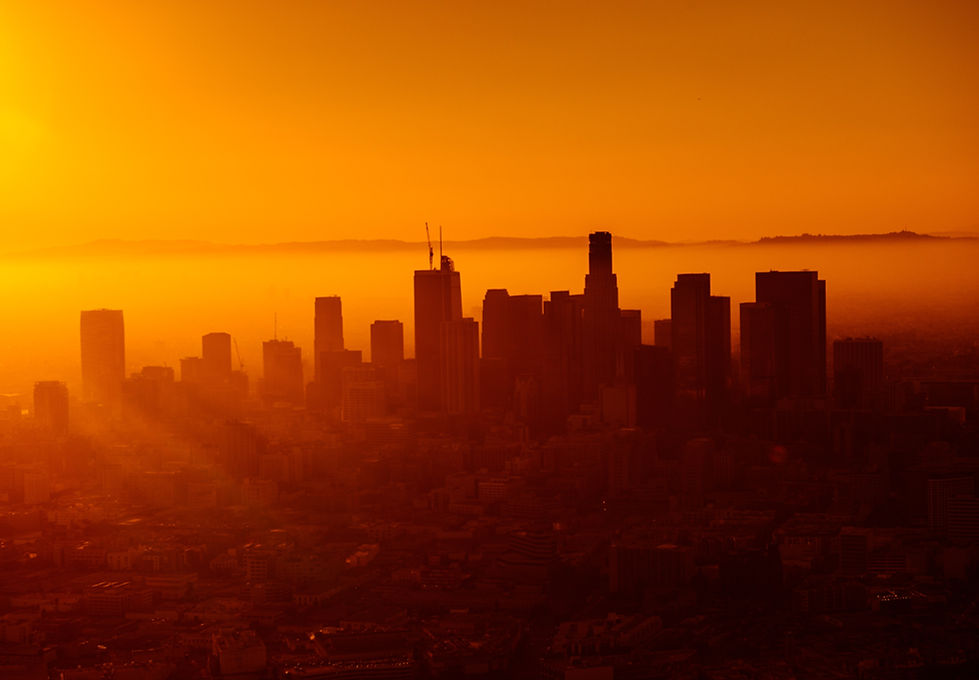 Image by Josh Rose