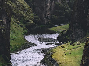 Image by John Salvino