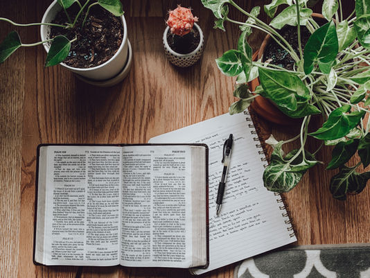 Bibel eller ledelse?