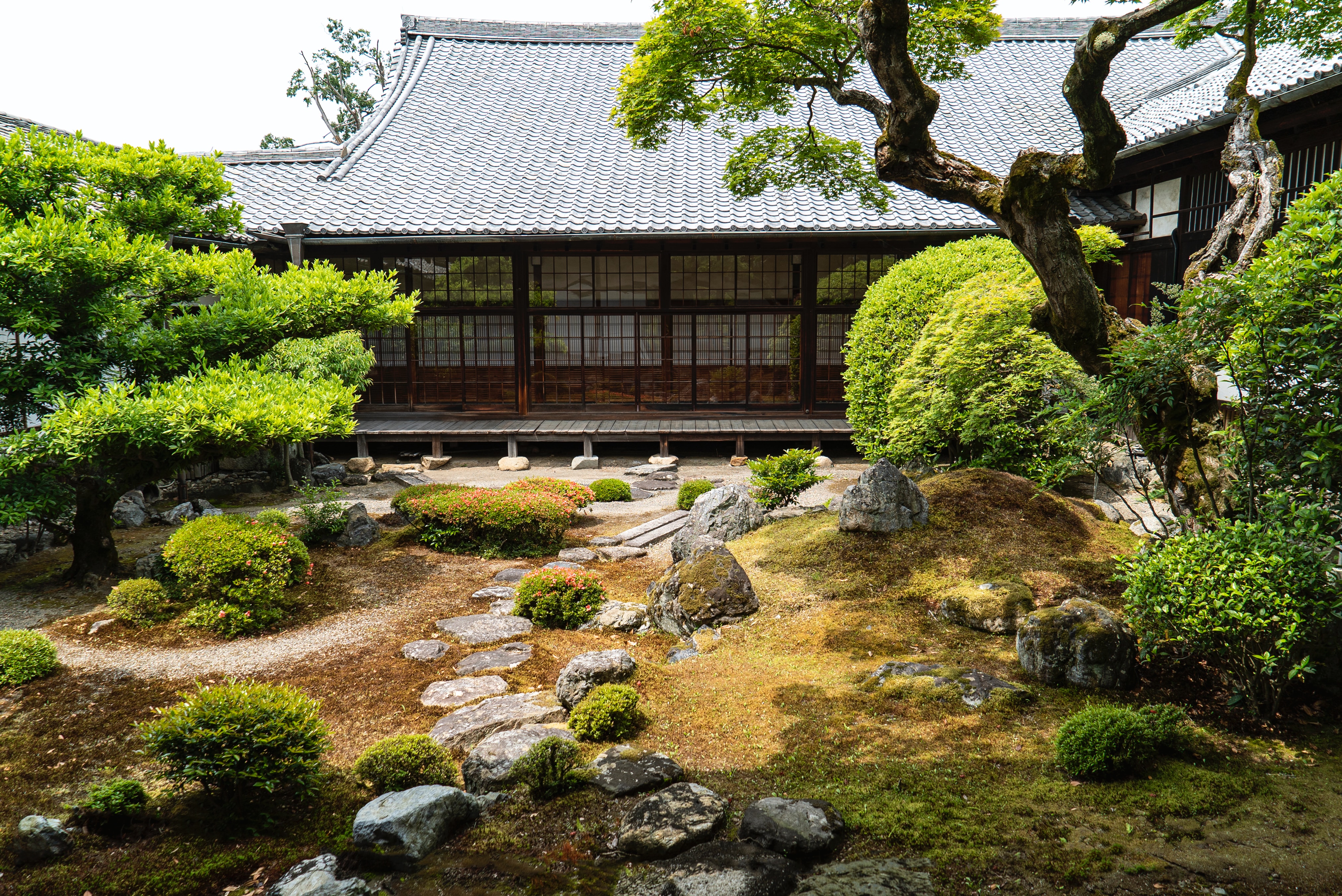 Traditional Japanese garden and greenery in front of a house