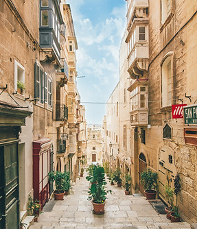 diarywings κατερίνα βάσου μάλτα