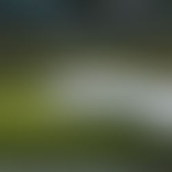 Carnaval 2026: LATAM amplia em 14% a oferta de voos no Brasil, com destaque para a Bahia