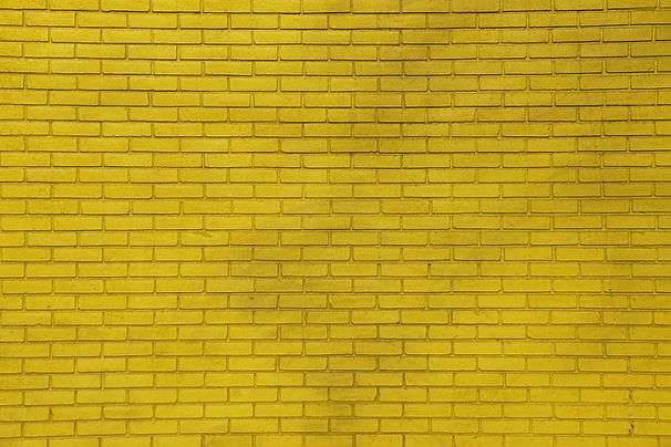 Image by Mockaroon