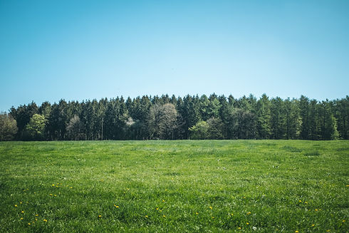 Image by Paul Trienekens