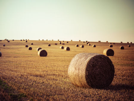 Understanding Hay