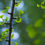 Thumbnail: INNOVATE + CREATE Herbal Tea
