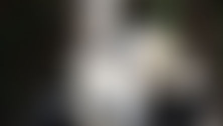 Panda's all the way to Pentecost!