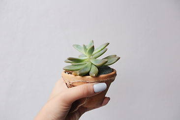 Image by Fabiola Peñalba
