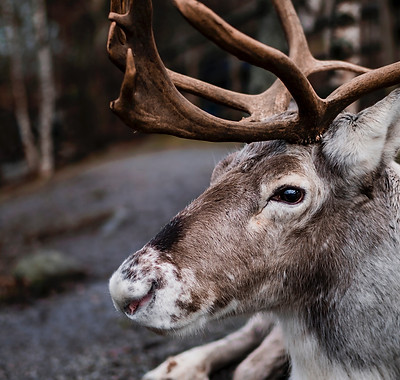 Image by Juan Encalada