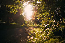 Image by Nils Nedel