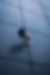Image by Oxa Roxa