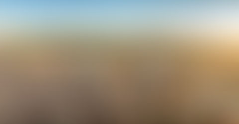 The Bologna Declaration 27th August 2019