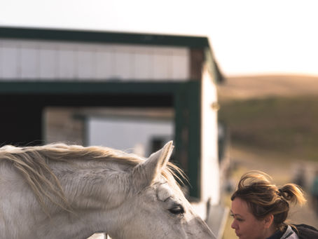 Stress, Transformation, and the Human-Horse Bond