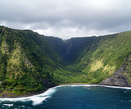 Image by Sarah Humer